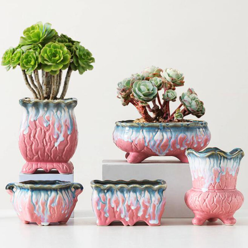 Snake Plant Ceramic - Maceta esmaltada creativa para plantas suculentas,