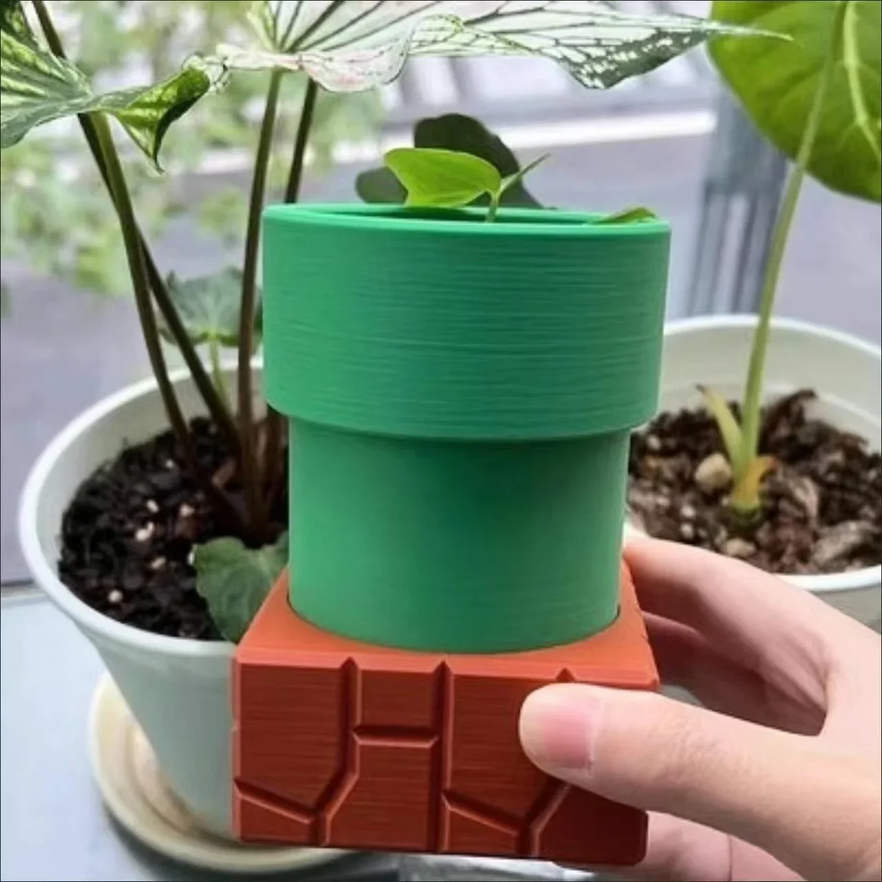 Snake Plant Ceramic - Tubería de agua, macetas caníbales, macetas