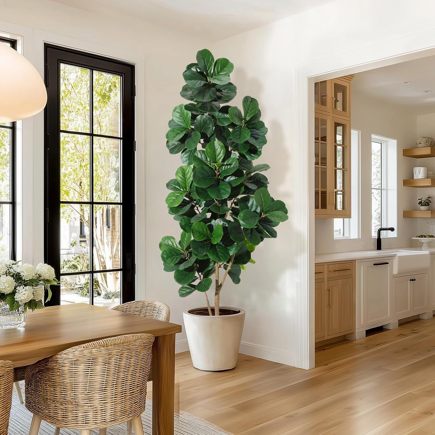 Fiddle Leaf Fig - Árbol de higo de hoja de