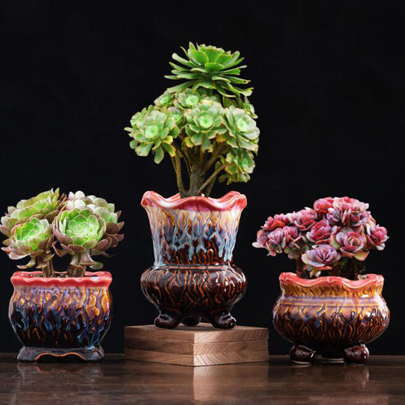 Maceta esmaltada creativa para - Snake Plant Ceramic reseña y precio