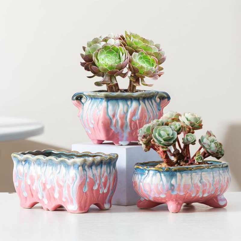 Maceta esmaltada creativa para - Snake Plant Ceramic reseña y precio
