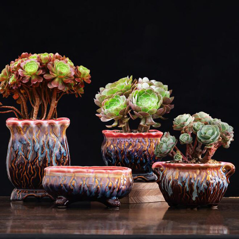 Maceta esmaltada creativa para - Snake Plant Ceramic reseña y precio