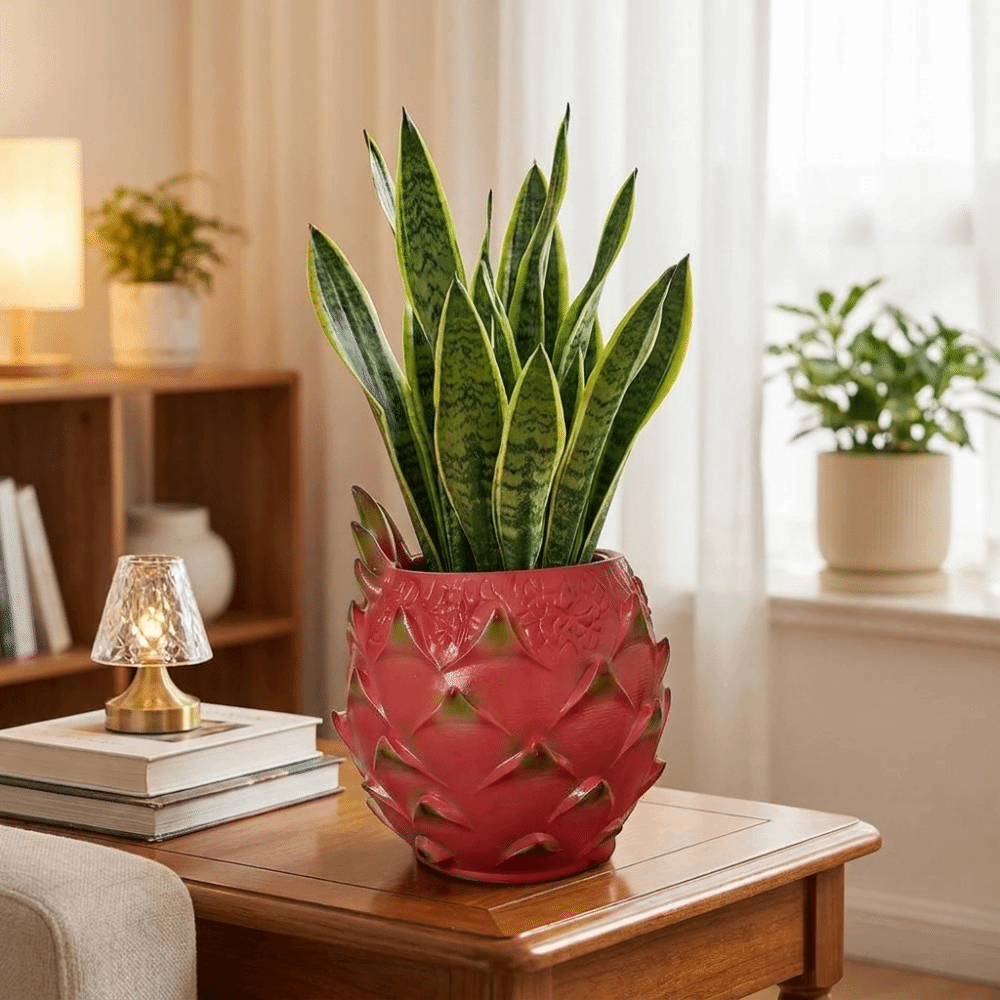 Maceta Creativa de Resina con  - Snake Plant Ceramic reseña y precio
