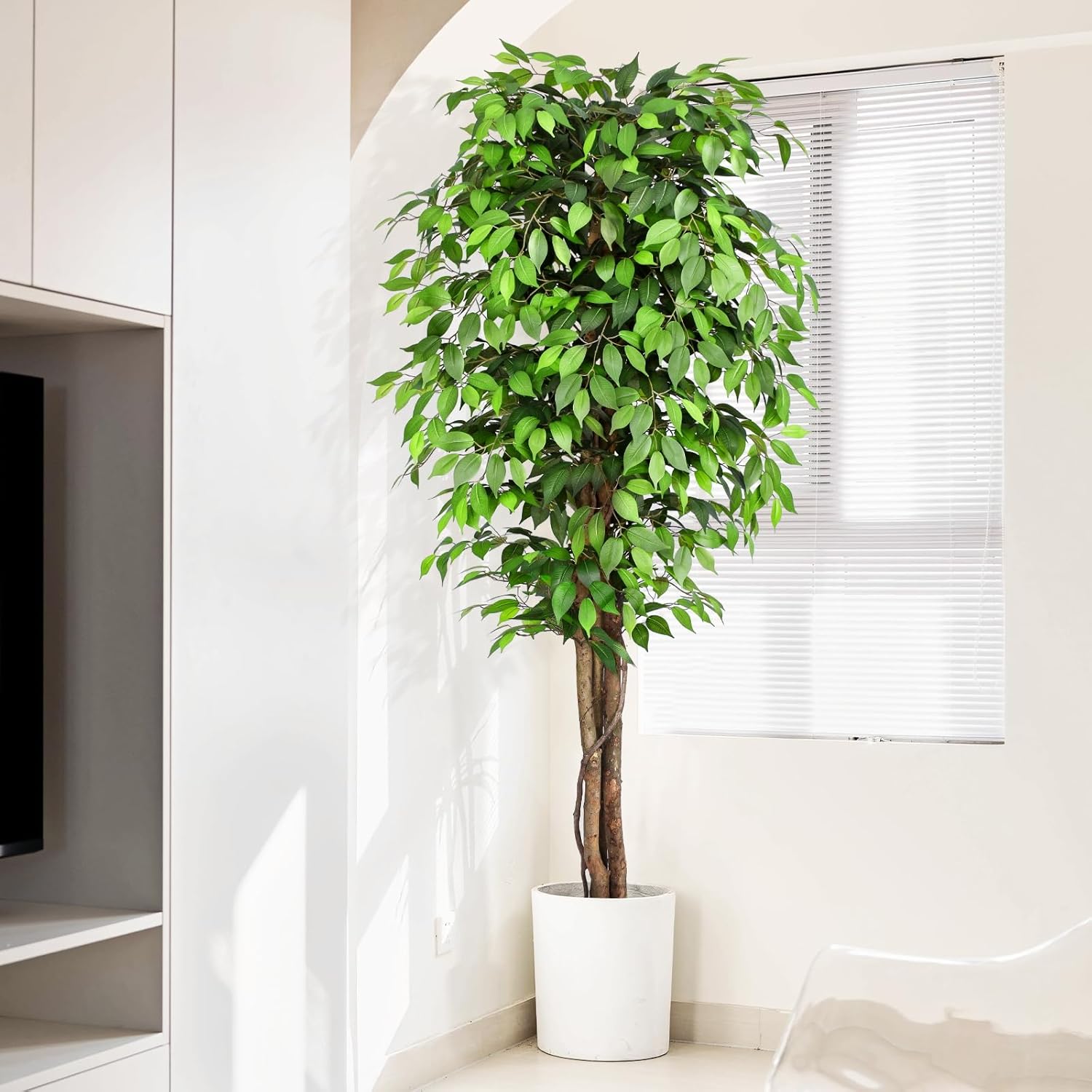Árbol de Ficus Artificial Real - Fiddle Leaf Fig reseña y precio