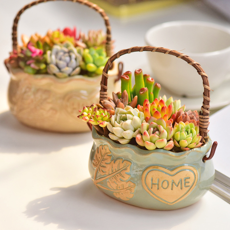 Maceta de Cerámica Estilo Nórd - Snake Plant Ceramic reseña y precio