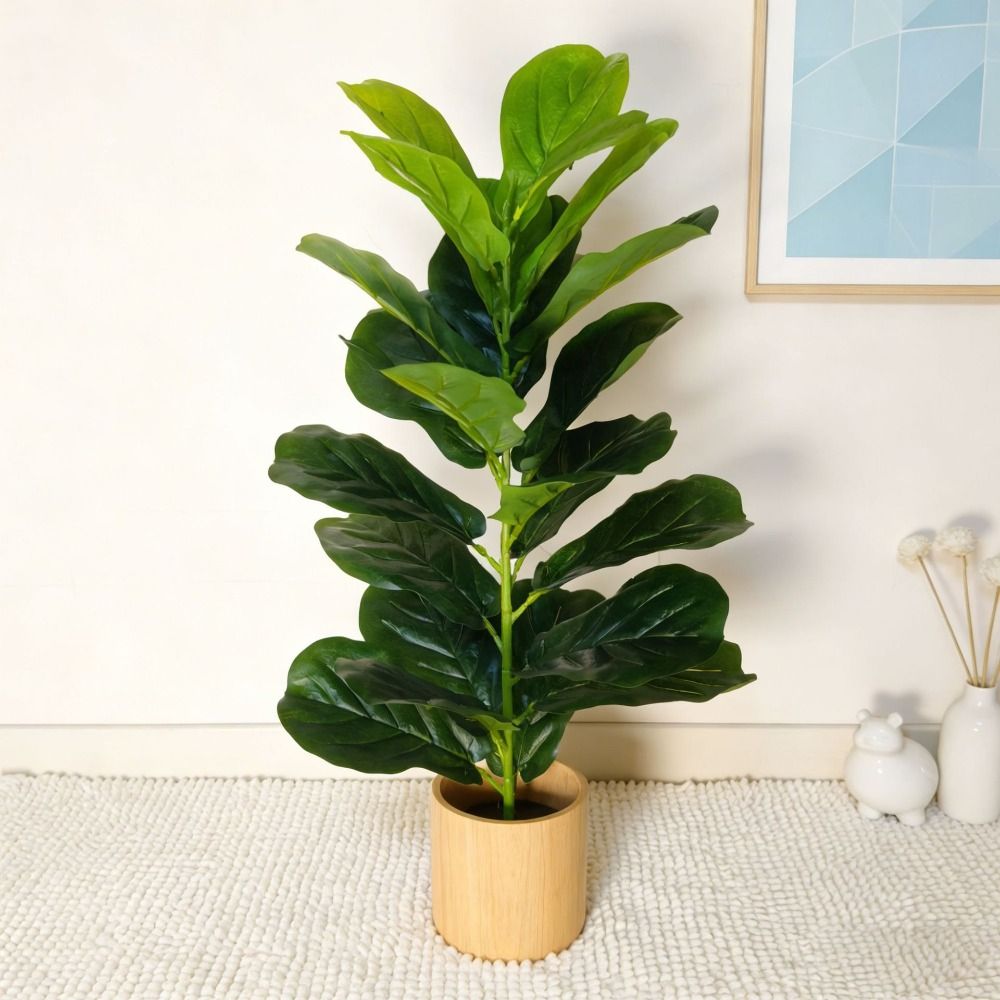 Árbol Artificial de Ficus de P - Fiddle Leaf Fig reseña y precio