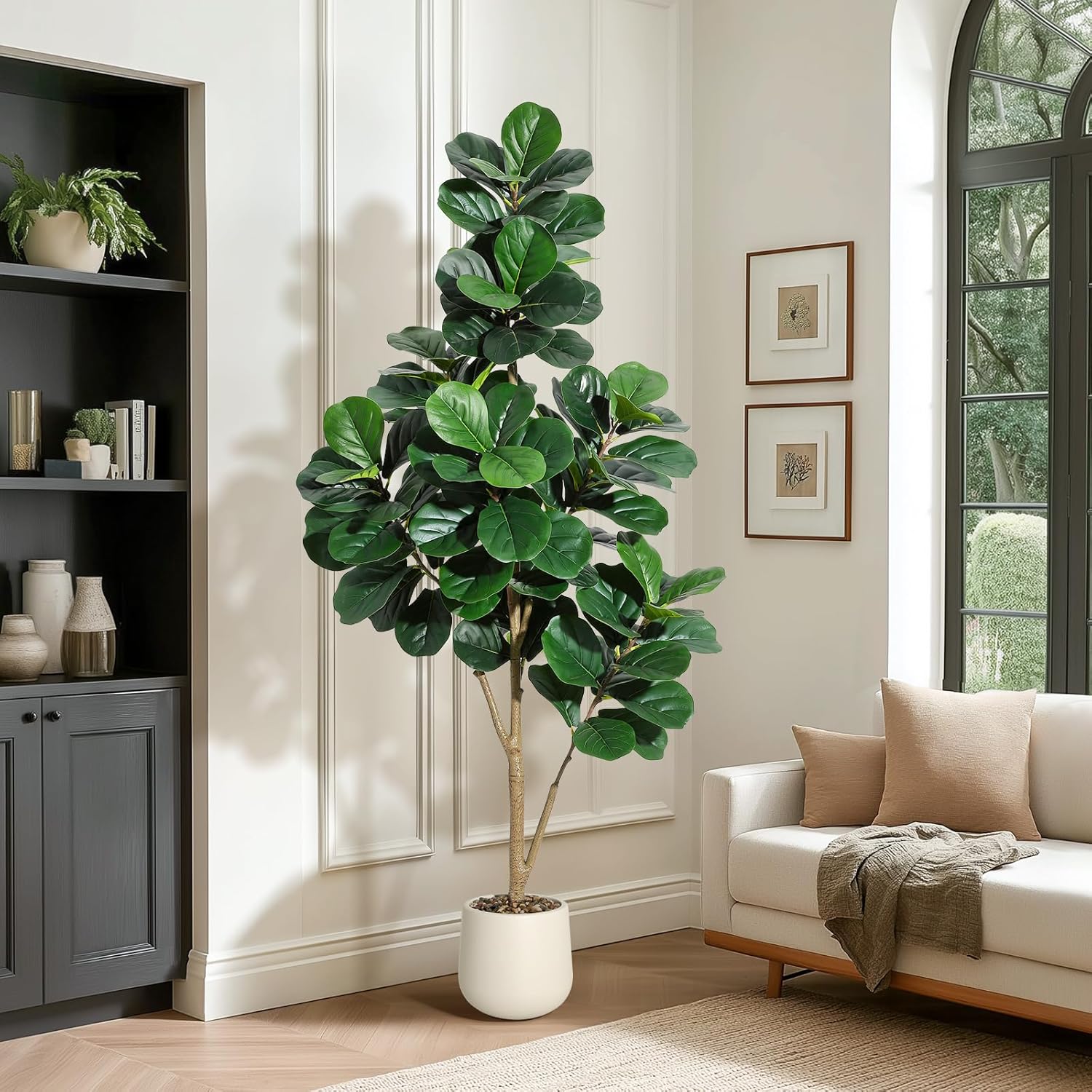 Árbol de higo de hoja de violí - Fiddle Leaf Fig reseña y precio