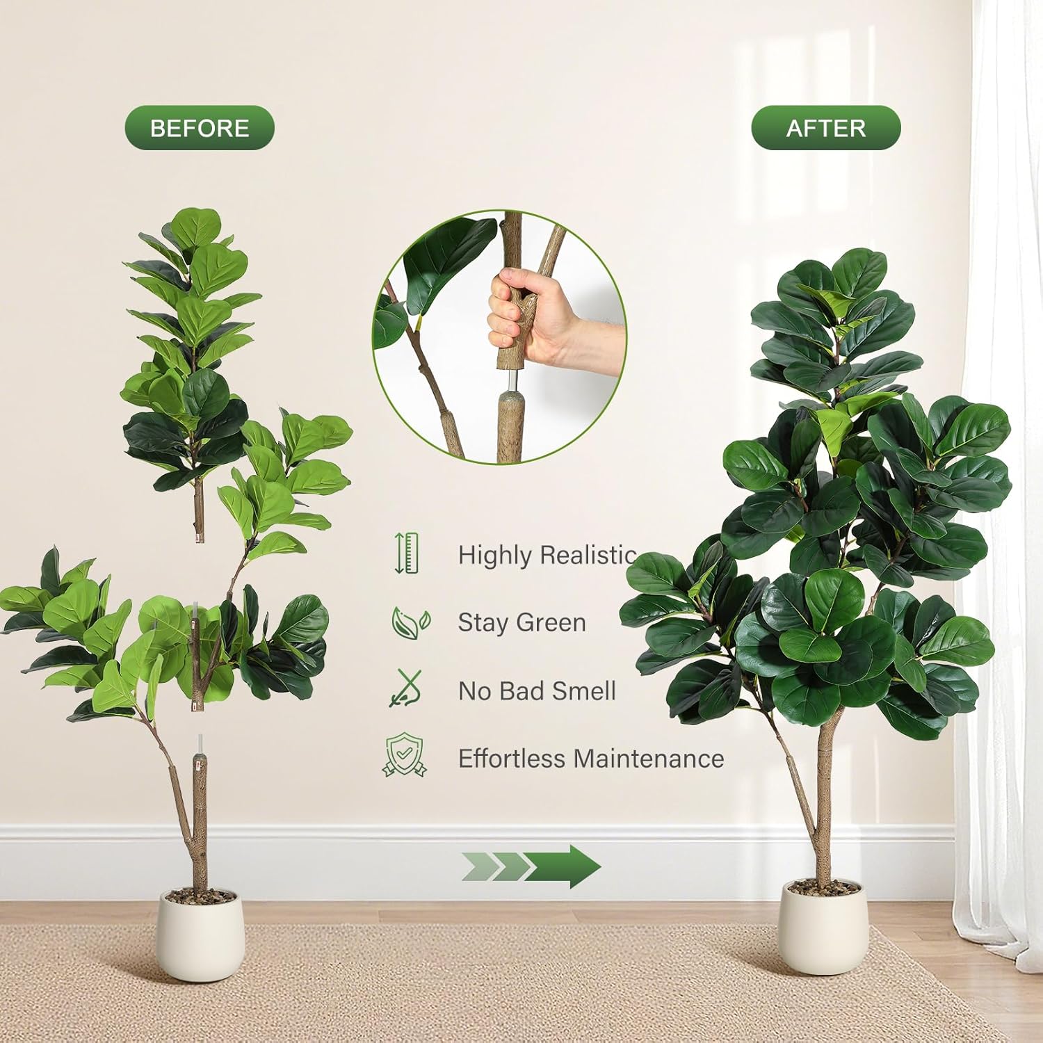 Árbol de higo de hoja de violí - Fiddle Leaf Fig reseña y precio