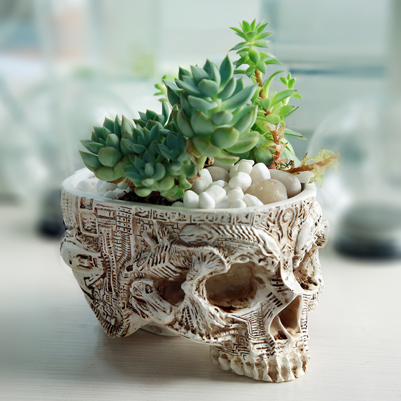 Maceta de calavera de Hallowee - Snake Plant Ceramic reseña y precio