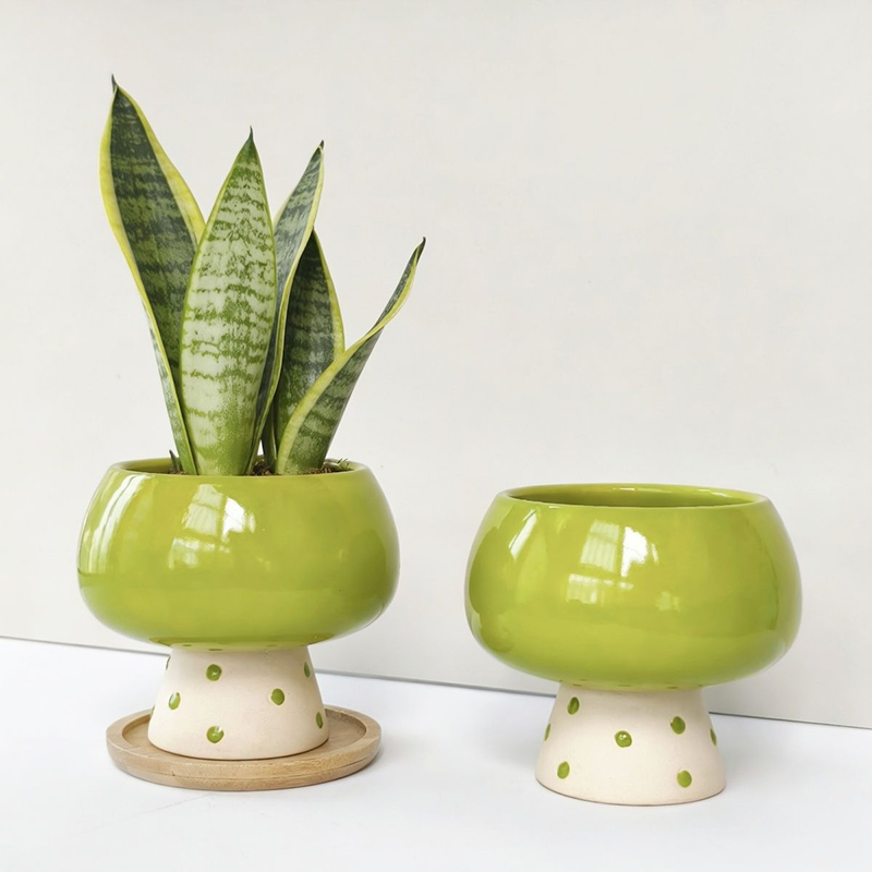 Maceta de Cerámica Minimalista - Snake Plant Ceramic reseña y precio