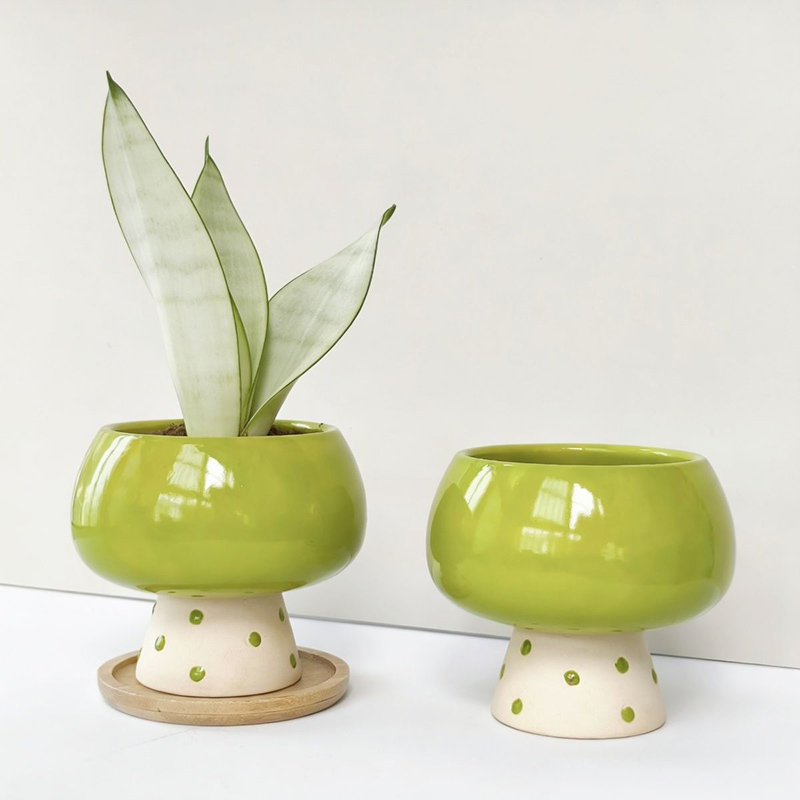 Maceta de Cerámica Minimalista - Snake Plant Ceramic reseña y precio