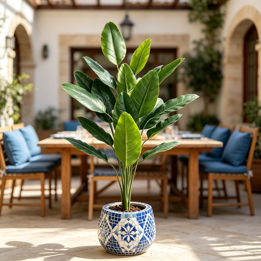 1 Pieza de Árbol de Plátano Ar - Fiddle Leaf Fig reseña y precio