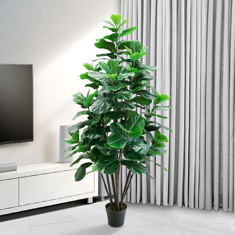 Planta Artificial de Ficus Lyr - Fiddle Leaf Fig reseña y precio