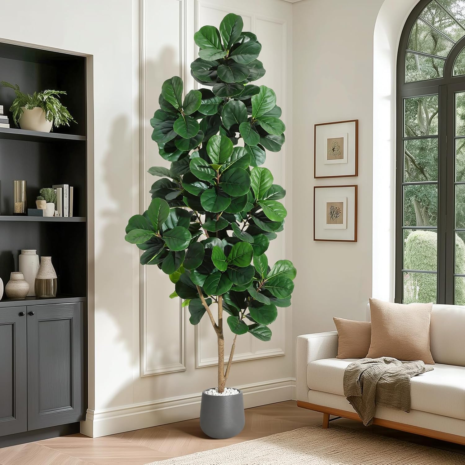 Árbol de higo de hoja de violí - Fiddle Leaf Fig reseña y precio
