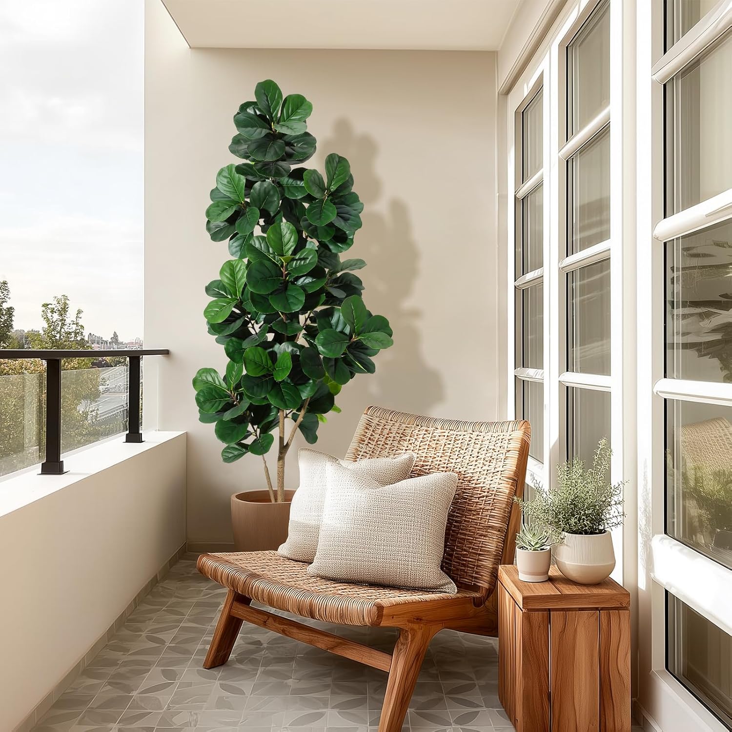 Árbol de higo de hoja de violí - Fiddle Leaf Fig reseña y precio